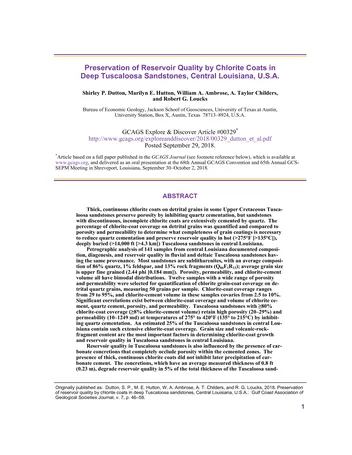 Más sobre Preservación de la Calidad del Reservorio mediante Recubrimientos de Clorita en Areniscas Profundas de Tuscaloosa Central, Luisiana.