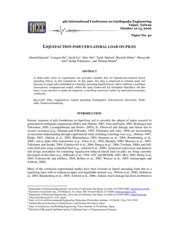 Más sobre Estudios Experimentales y Numéricos de la Carga Lateral Inducida por Licuefacción en Pilas
